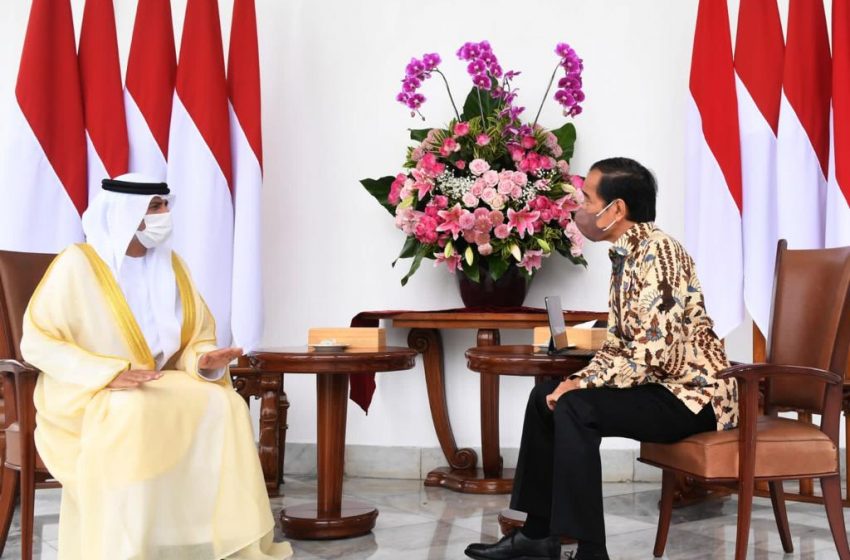  Presiden Jokowi terima Delegasi Persatuan Emirat Arabi