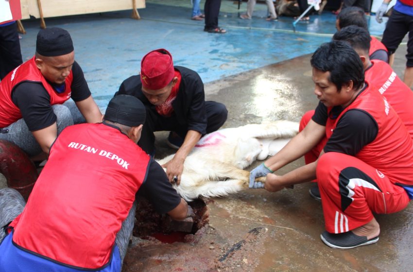  Indahnya Berbagi, Rutan Cilodong Depok sembelih 13 Hewan Kurban
