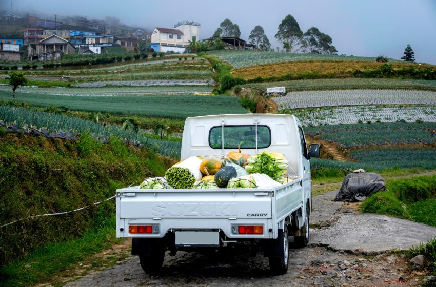  Efisiensi dan Kapasitas Besar, Alasan Suzuki New Carry Jadi Favorit Pengusaha